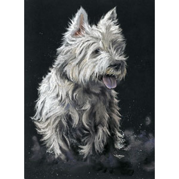 Kay Johns - West Life (Westie)