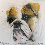 Kay Johns - Winston (Bulldog)