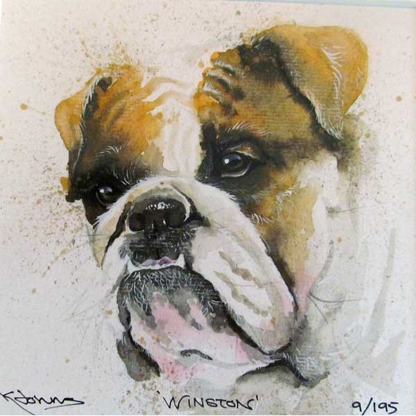 Kay Johns - Winston (Bulldog)