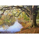 Keith Melling - Autumn on The River Wharfe