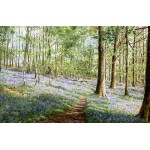 Keith Melling - Bluebells, Brathay Wood
