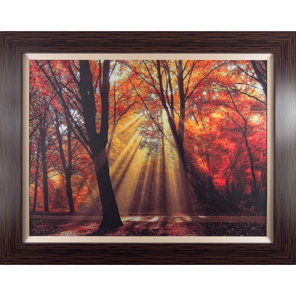 Lars Van De Goor - Dressed To Shine Framed Print 