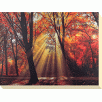 Lars Van De Goor - Dressed To Shine Canvas Print 