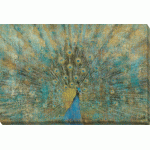 Linda Omelianchuk - Peacock Canvas Print (Large)