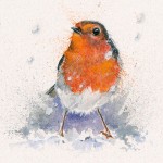 Kay Johns - Little Red (Robin) 