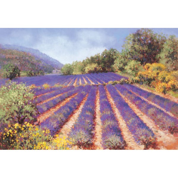 Maureen Jordan - Lavender in Provence