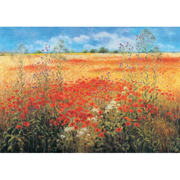 Maureen Jordan - Poppyfield