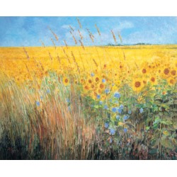 Maureen Jordan - Sunflowers & Grasses