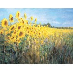 Maureen Jordan - Sunflowers