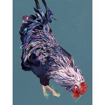 Michelle Scragg - Pecking Cockerel