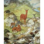 Muriel Dawson - Roe Deer in Summer