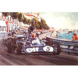 Nicholas Watts - Monaco Grand Prix 1973
