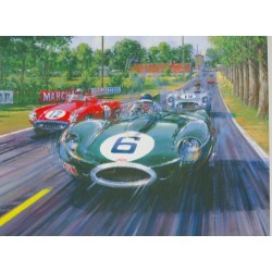 Nicholas Watts - Battle Royal