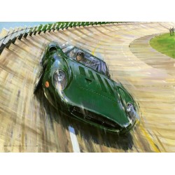 Nicholas Watts - Jaguar - A Promise Unfulfilled