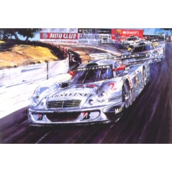 Nicholas Watts - Silver Stars