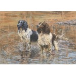 Paul Apps - Jess & Tess