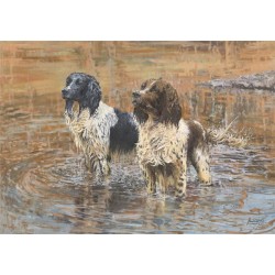 Paul Apps - Jess & Tess