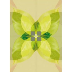 Paul Cooklin - Viriditas v2