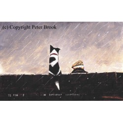 Peter Brook RBA - 72 for 8 in Difficult Conditions Peter Brook RBA - 72 for 8 in Difficult Conditions