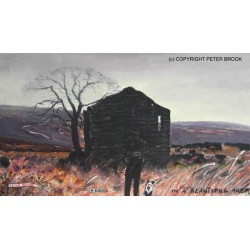 Peter Brook RBA - A Ruin in a Beautiful Area Peter Brook RBA - A Ruin in a Beautiful Area