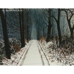 Peter Brook RBA - The Woods are Lovely, Dark & Deep