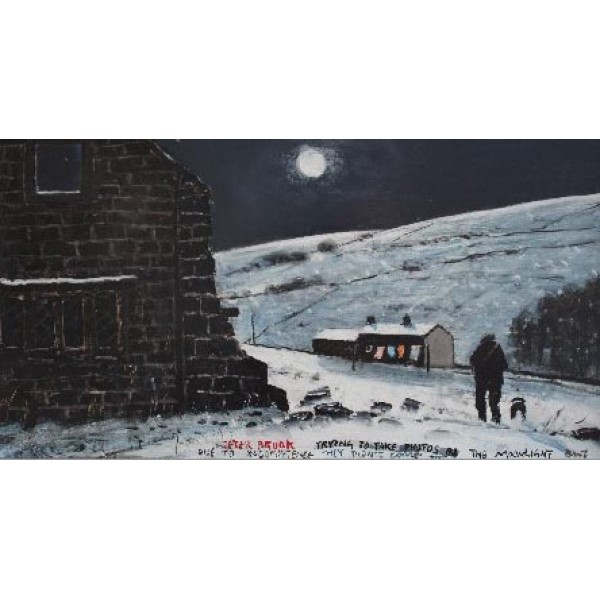 Peter Brook RBA - Trying to Take Photos in the Moonlight