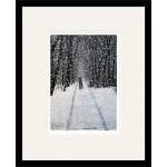 Peter Brook RBA - Snow on Snow