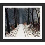 Peter Brook RBA - The Woods are Lovely, Dark & Deep (Embellished)