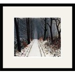 Peter Brook RBA - The Woods are Lovely, Dark & Deep