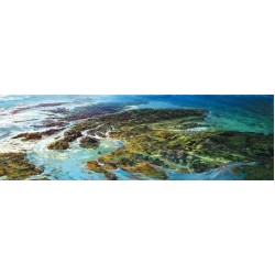 Ronnie Leckie - Scotland, The Big Picture