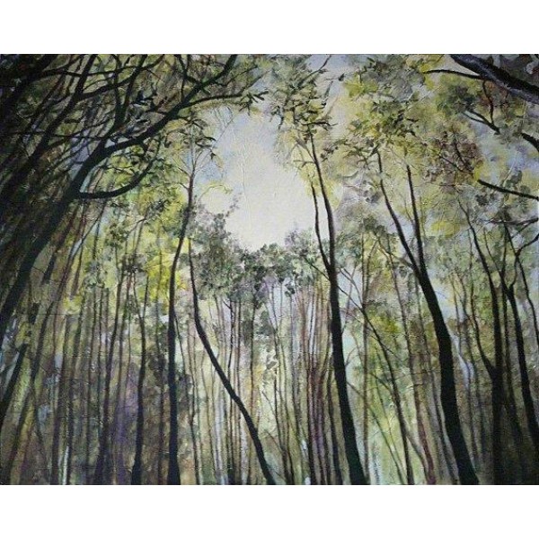 Sandra Moffat - The Canopy