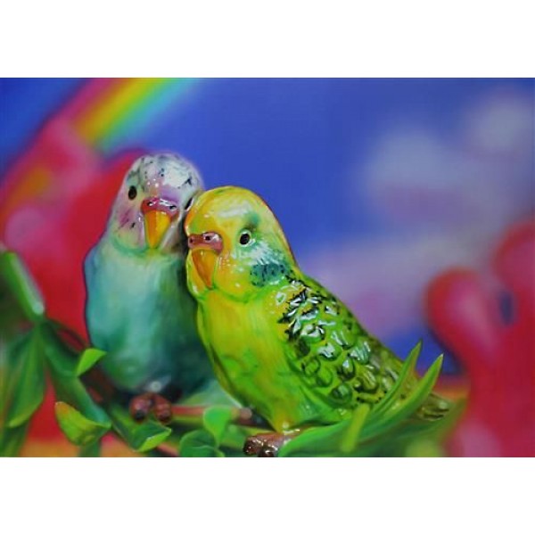 Sarah Graham  - Budgie Love