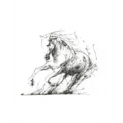 Scott Tetlow - Freedom