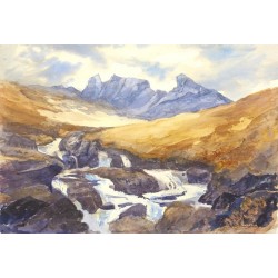 Sheena Phillips - The Cobbler