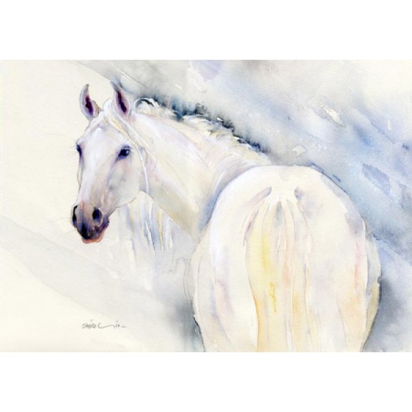 Sheila Gill - Grey Mare