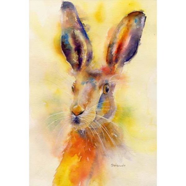 Sheila Gill - Harvey Hare