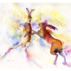 Sheila Gill - Pink Boxers