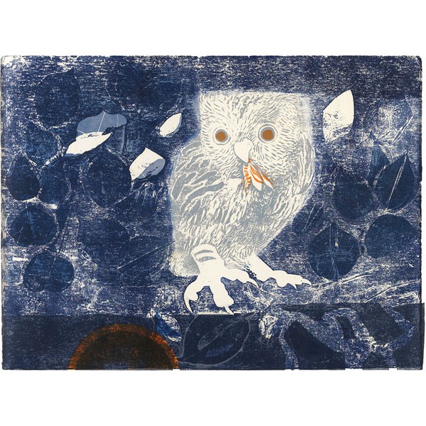 Sheila Robinson - The Owl 