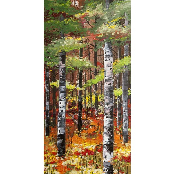 Daniel Campbell - Silver Birches and Poppies