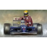 Stephen Doig - A Moment In Time - Senna / Mansell 