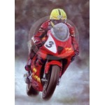 Stephen Doig - Joey Dunlop - TT Legend