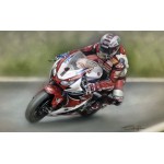 Stephen Doig - John McGuinness - Senior TT 2015