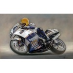 Stephen Doig - Once A King Always A King - Joey Dunlop