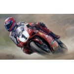 Stephen Doig - Pure Agression - Carl Fogarty