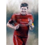 Stephen Doig - Steven Gerrard - Liverpool Captain