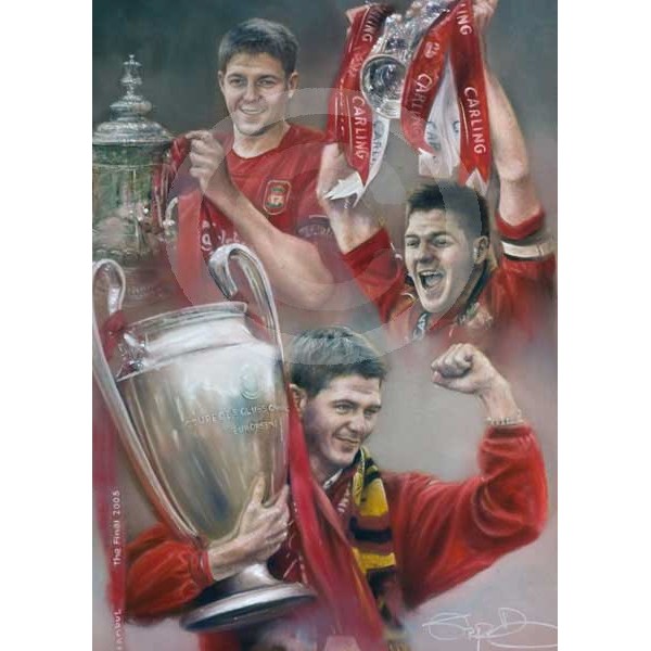 Stephen Doig - Steven Gerrard - Silver Service