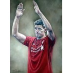 Stephen Doig - Stevie - Thank You - Steven Gerrard