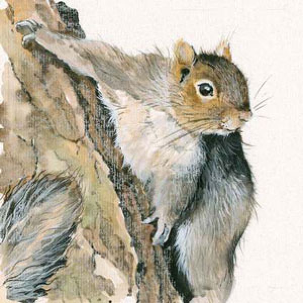 Kay Johns - Tree Hugger (Grey Squirrel)