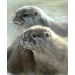 Vivien Walters - Otters     