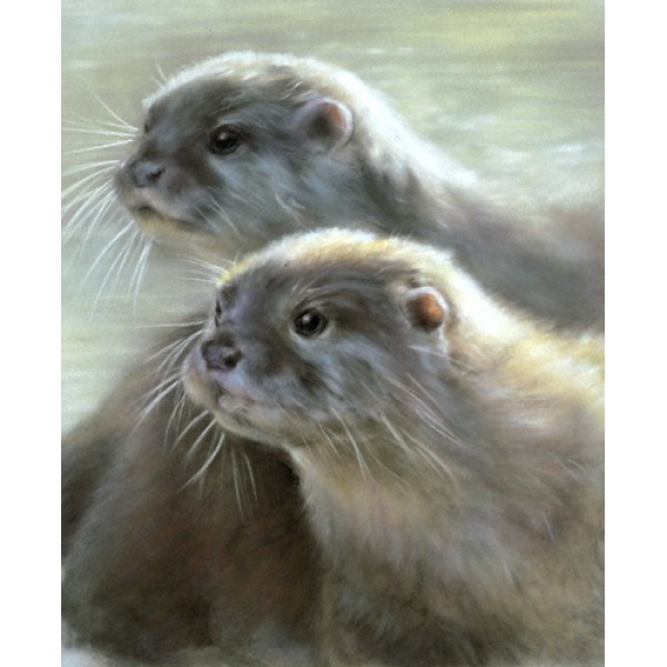 Vivien Walters - Otters     